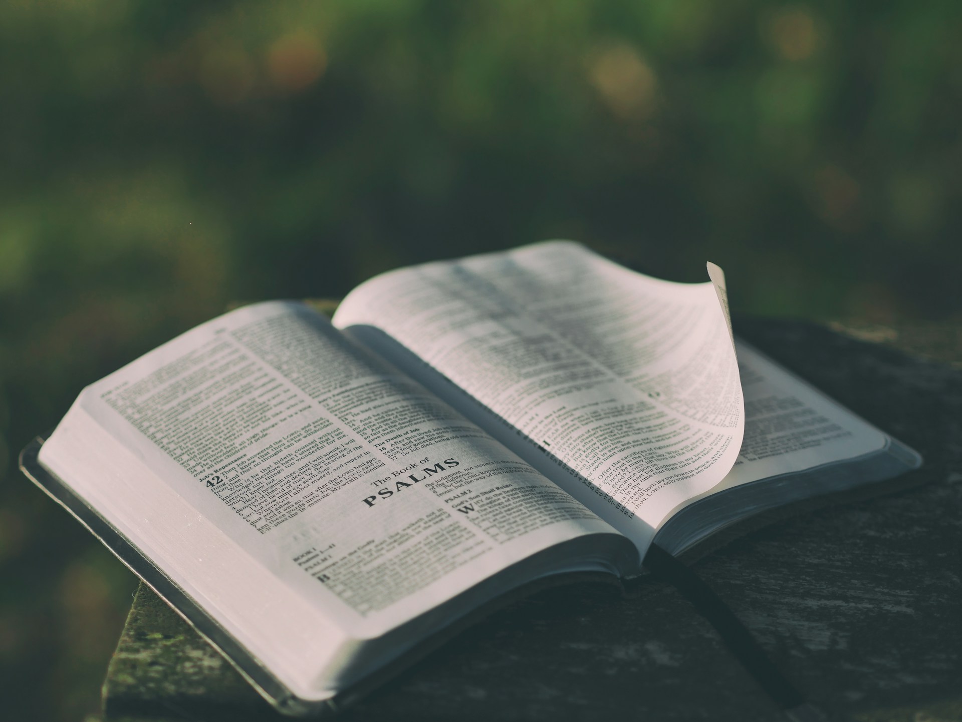 The Good News